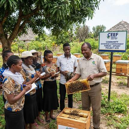 Community beekeeping and apiary project training